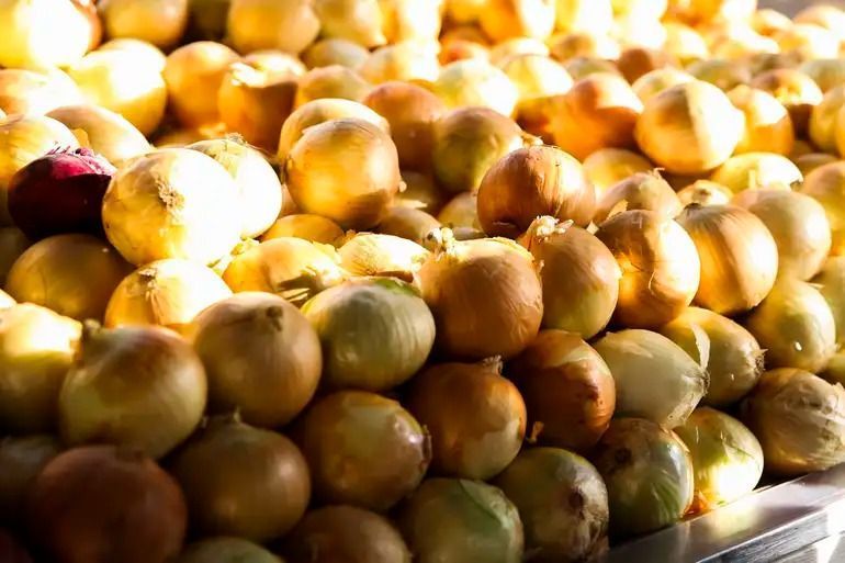 Preço da cebola sobe mais de 34% e lidera altas em Minas Gerais