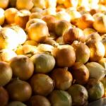 Preço da cebola sobe mais de 34% e lidera altas em Minas Gerais