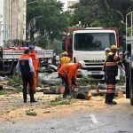 Chuva forte derruba árvores e causa alagamentos em São Paulo nesta terça-feira (27)