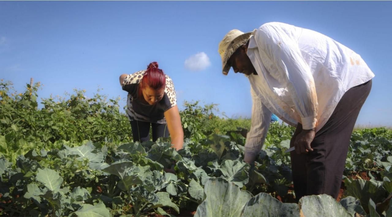 Reunindo agricultores familiares de todo o estado, Contagem sedia a 3ª Conferência Estadual de Desenvolvimento Rural Sustentável e Solidário