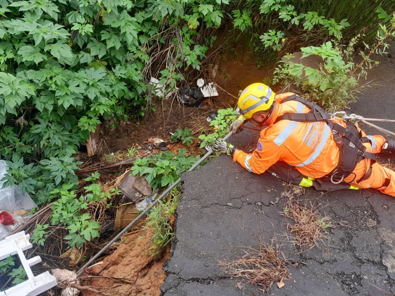Bombeiros resgatam cão idoso que caiu em barranco em Araxá; veja vídeo