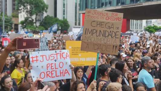 Manifestações ocorreram em diversas capitais do país após a morte do cão Orelha