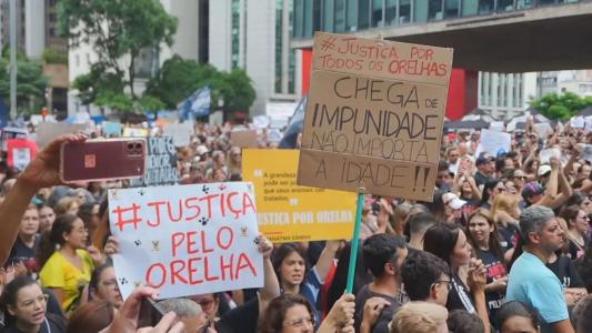 Manifestações ocorreram em diversas capitais do país após a morte do cão Orelha