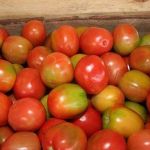 Preço do tomate dispara em Belo Horizonte e registra alta de 118% em janeiro de 2026