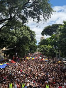 Bloco Filhos da PUC arrasta multidão na Avenida Afonso Pena