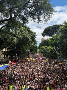 Bloco Filhos da PUC arrasta multidão na Avenida Afonso Pena
