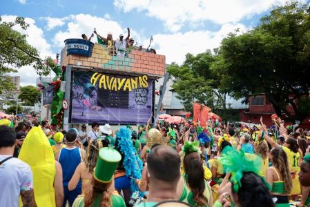 Havayanas Usadas 10 Anos