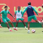 Jhon Arias treina com elenco do Palmeiras e vira opção para quartas do Paulista