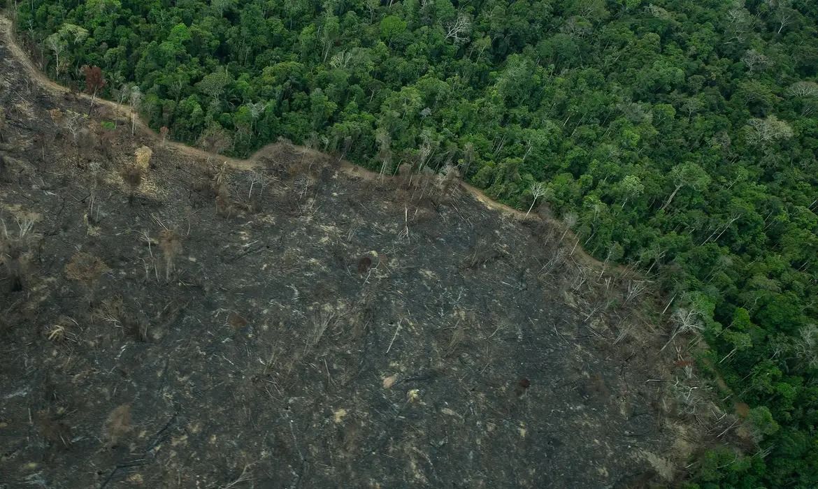 Nova Lei Geral do Licenciamento Ambiental gera incertezas no mercado e chega ao STF
