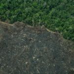 Nova Lei Geral do Licenciamento Ambiental gera incertezas no mercado e chega ao STF