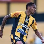 Fluminense e Botafogo enviam proposta por zagueiro do Novorizontino