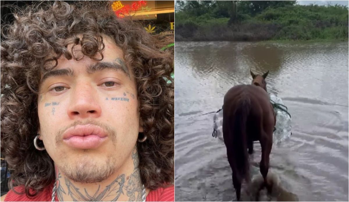 Whindersson Nunes exibe solução para resgate de cavalos no RS; veja imagens