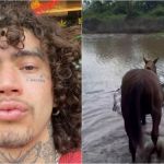 Whindersson Nunes exibe solução para resgate de cavalos no RS; veja imagens