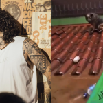 Whindersson Nunes defende resgate de animais em enchentes no RS
