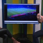Atlético x Palmeiras: chefe de arbitragem da CBF analisa lances polêmicos