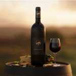 Explorando vinhos tintos: confira variedades e melhores harmonizações