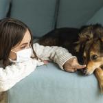 Leishmaniose canina pode ser transmitida para humanos? Confira