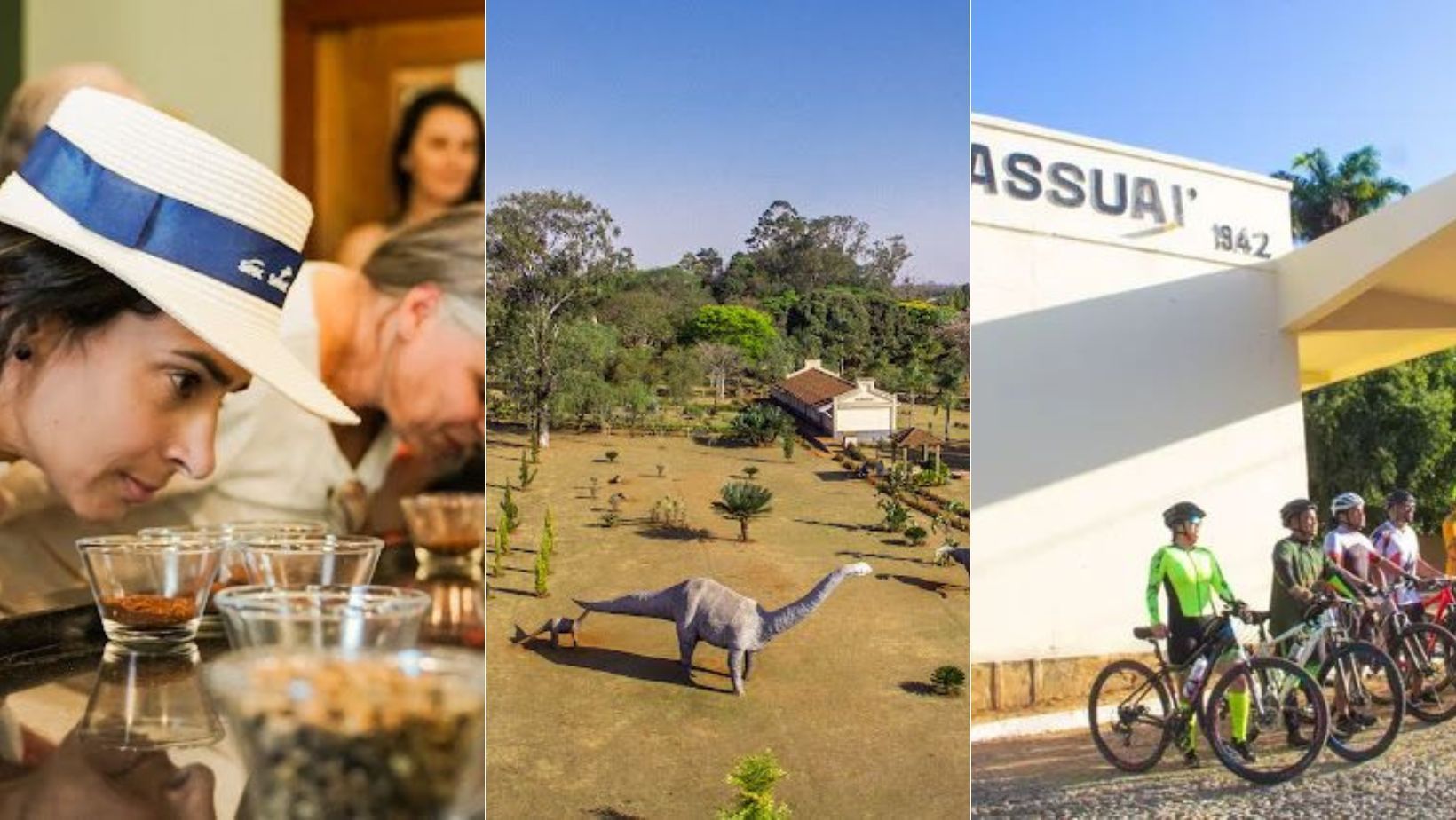 Maior dinossauro do Brasil, cicloturismo, café e história: conheça as três rotas apresentadas por Minas na WTM