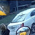 Vídeo mostra criança quase sendo atropelada por carro em alta velocidade nos EUA