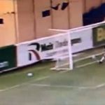 Auxiliar valida gol em que a bola não entrou durante jogo da Série D; veja lance