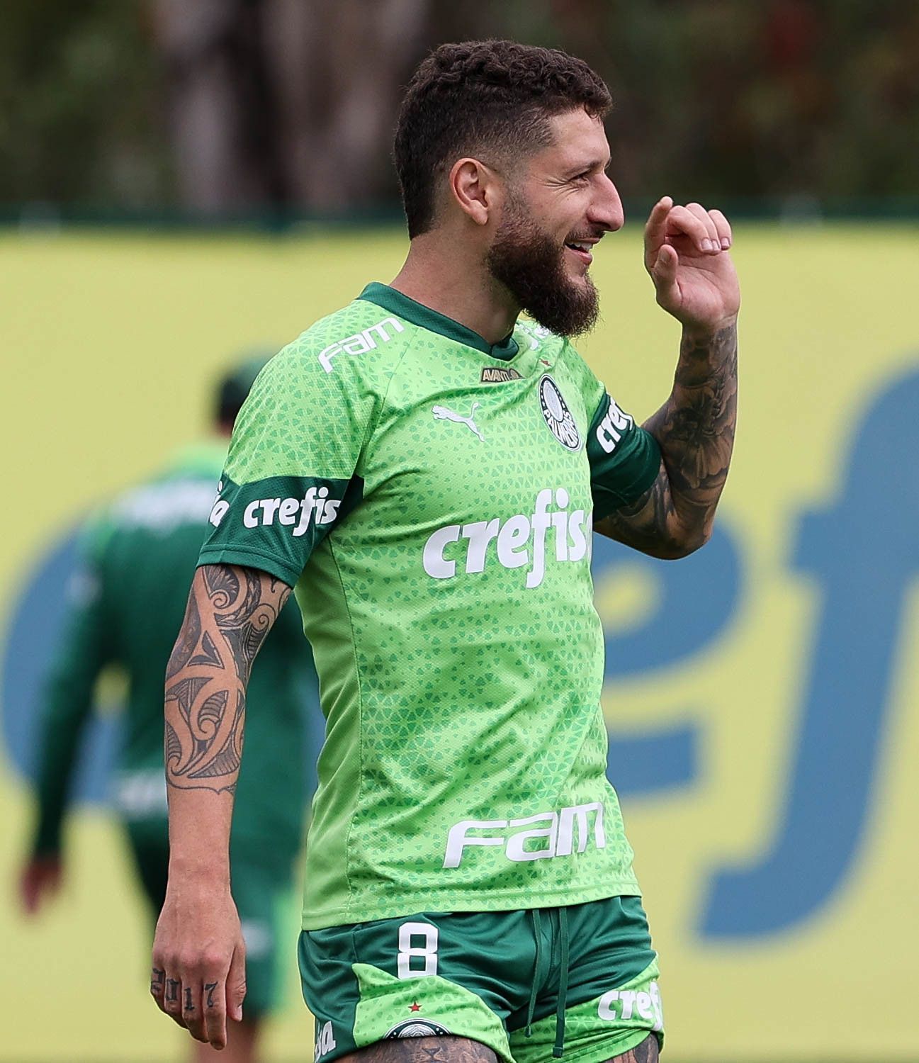 Alvo do Santos, Zé Rafael tem futuro incerto no Palmeiras