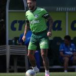 Palmeiras 'desiste' de contar com Zé Rafael contra o Criciúma; entenda