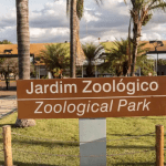 Suspeita de gripe aviária fecha Zoológico de Brasília