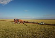 Em alta, crédito rural empresarial atinge R$ 404 bilhões no Plano Safra 2025/2026