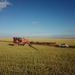 Em alta, crédito rural empresarial atinge R$ 404 bilhões no Plano Safra 2025/2026