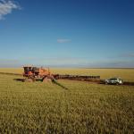 Em alta, crédito rural empresarial atinge R$ 404 bilhões no Plano Safra 2025/2026