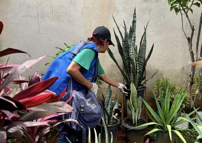 Dia D de combate às arboviroses é realizado nos municípios do Vale do Aço