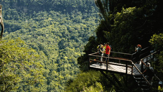 Turismo em floresta