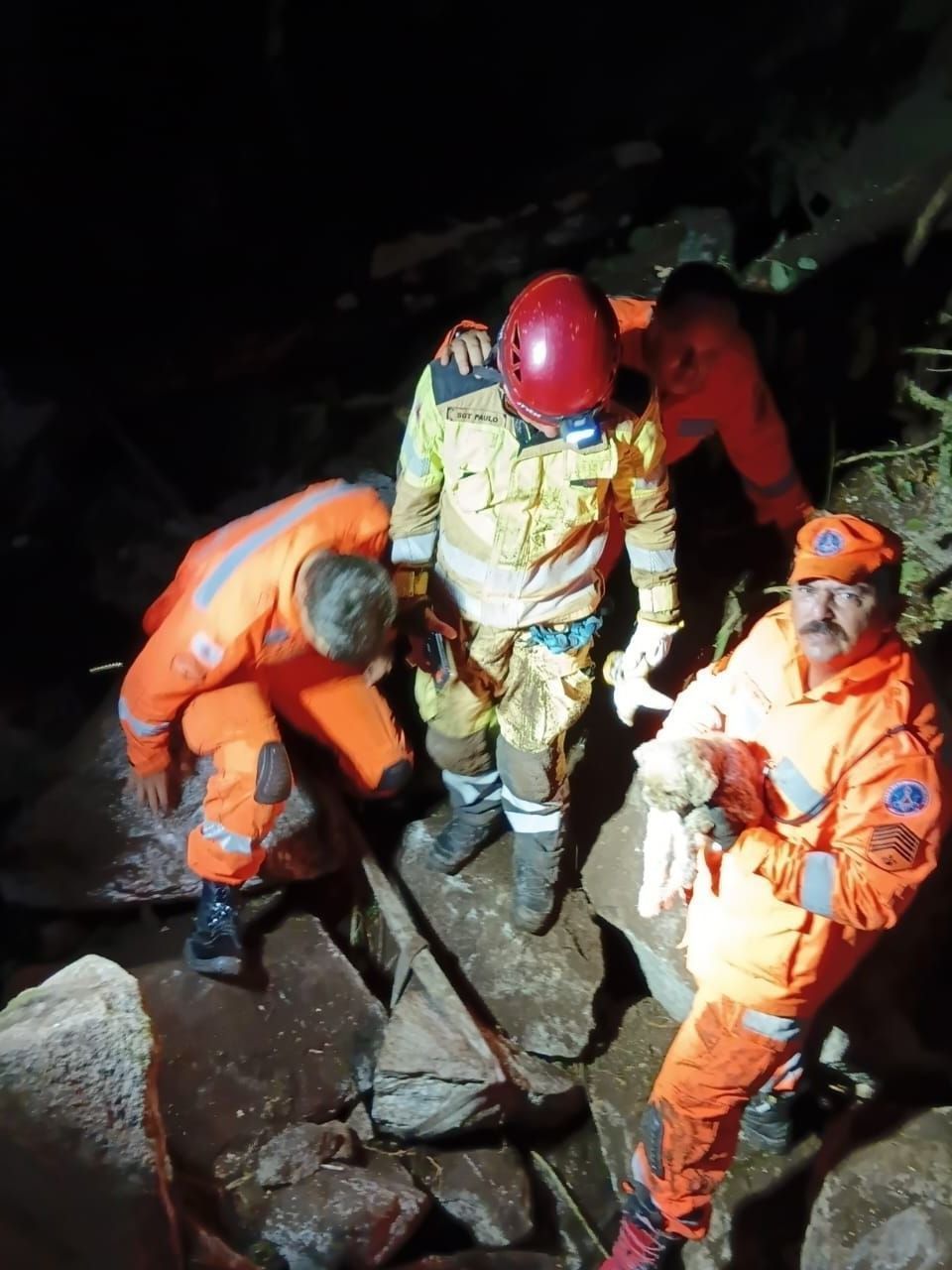 Bombeiros removem duas toneladas de rochas para resgatar cão