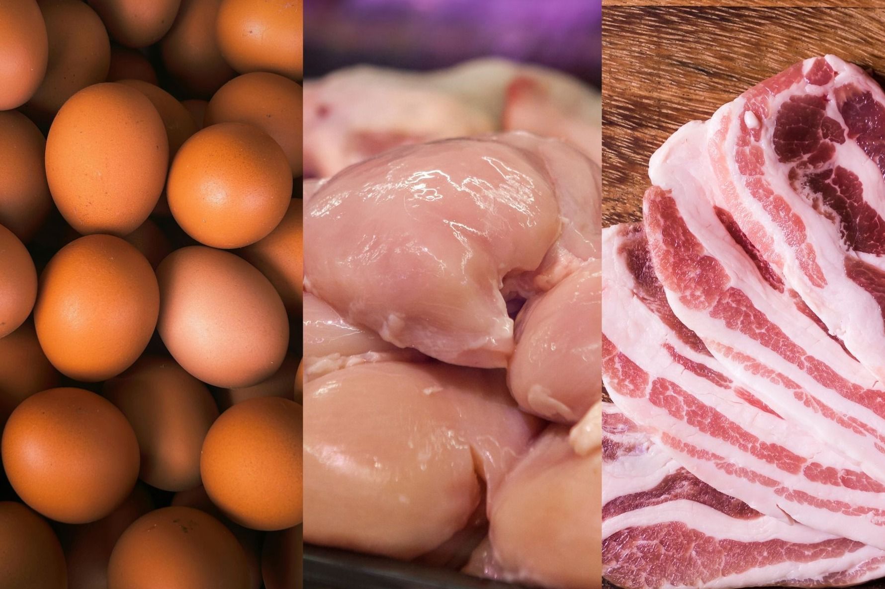 Guerra no Oriente Médio deve encarecer carnes e ovos no Brasil, alerta ABPA
