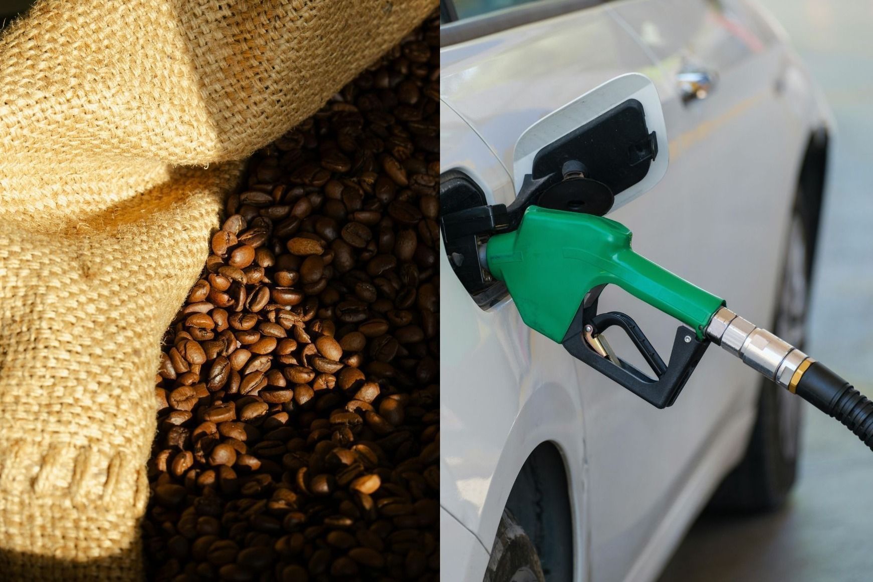 Disparada do diesel eleva custo e preocupa setor cafeeiro antes da colheita