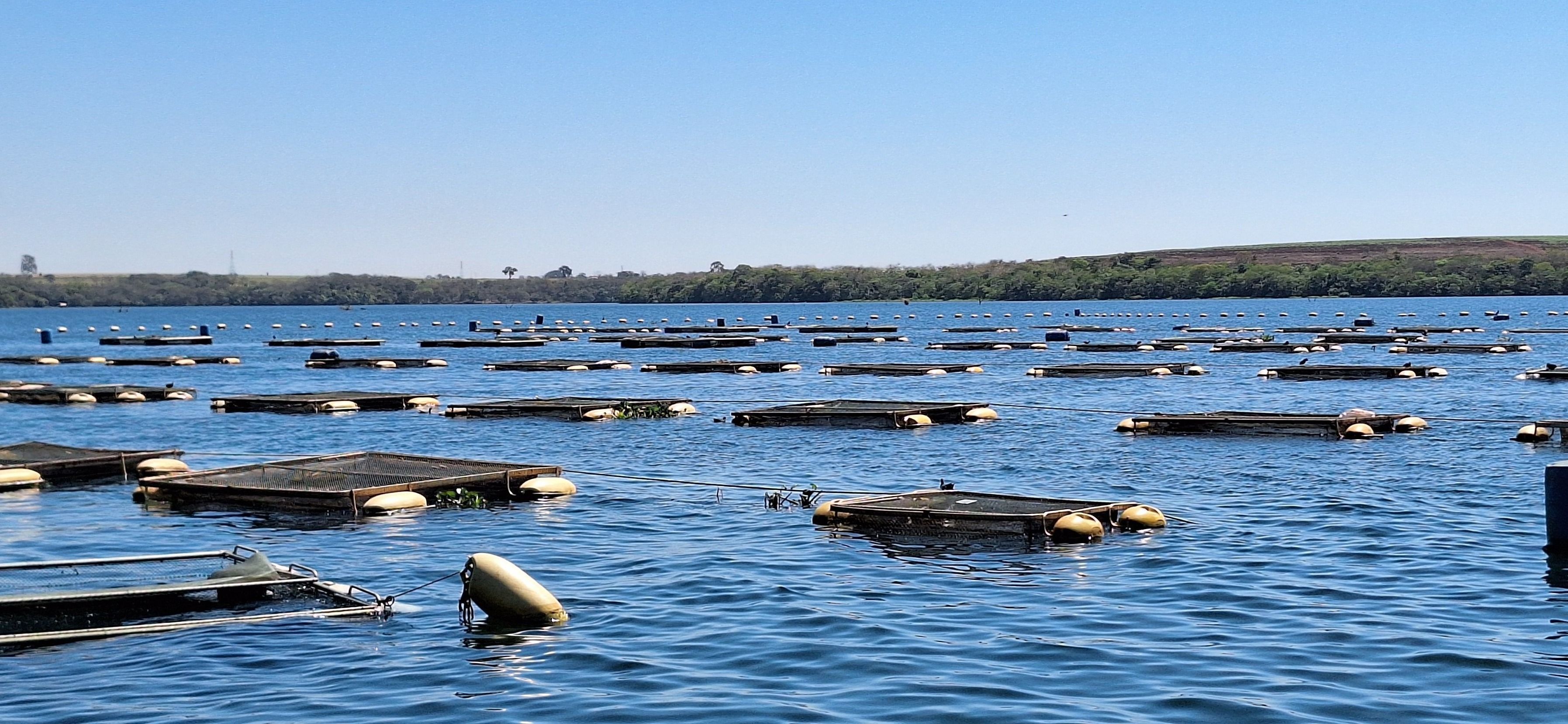 Fim do IEF para peixes? ALMG aprova projeto que simplifica licenciamento