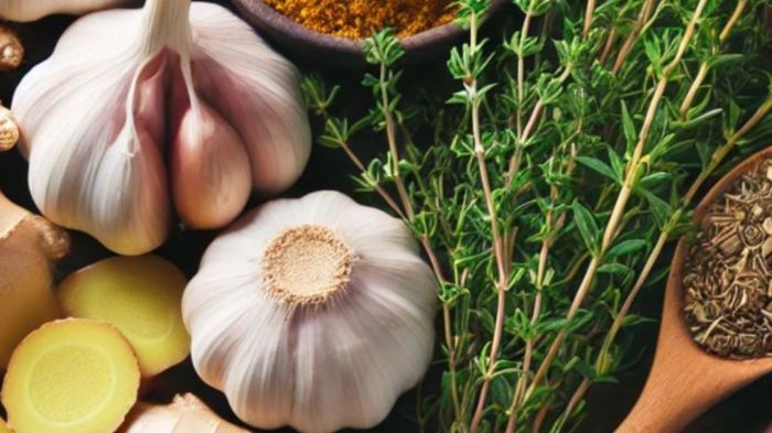 10 Hábitos que Aceleram a Queima de Calorias