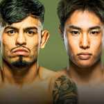 Card do UFC deste sábado (12)