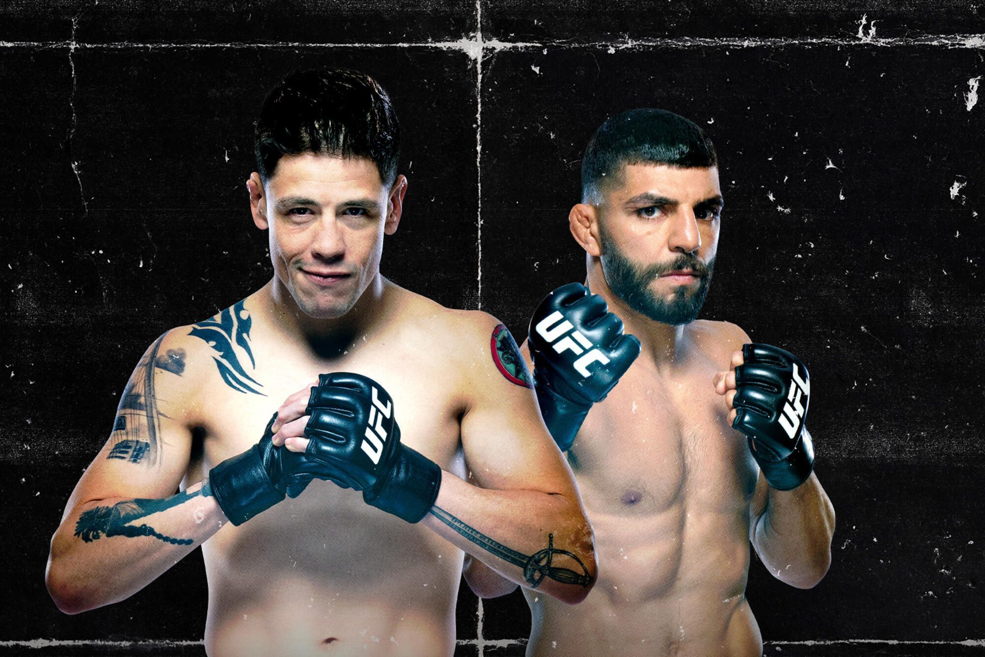 Card do UFC deste sábado (2)