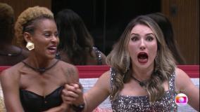 Campeões das últimas edições do BBB