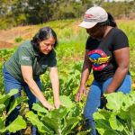 Trabalho da Emater-MG tem aprovação de 94% dos produtores rurais