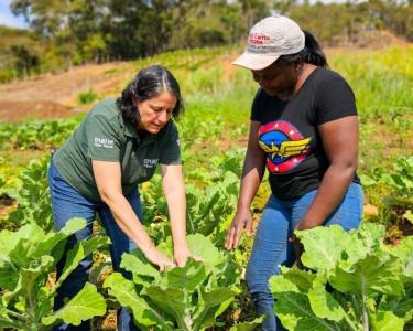 Entre os serviços mais procurados estão o apoio técnico na produção, a ajuda para conseguir crédito rural e os treinamentos.