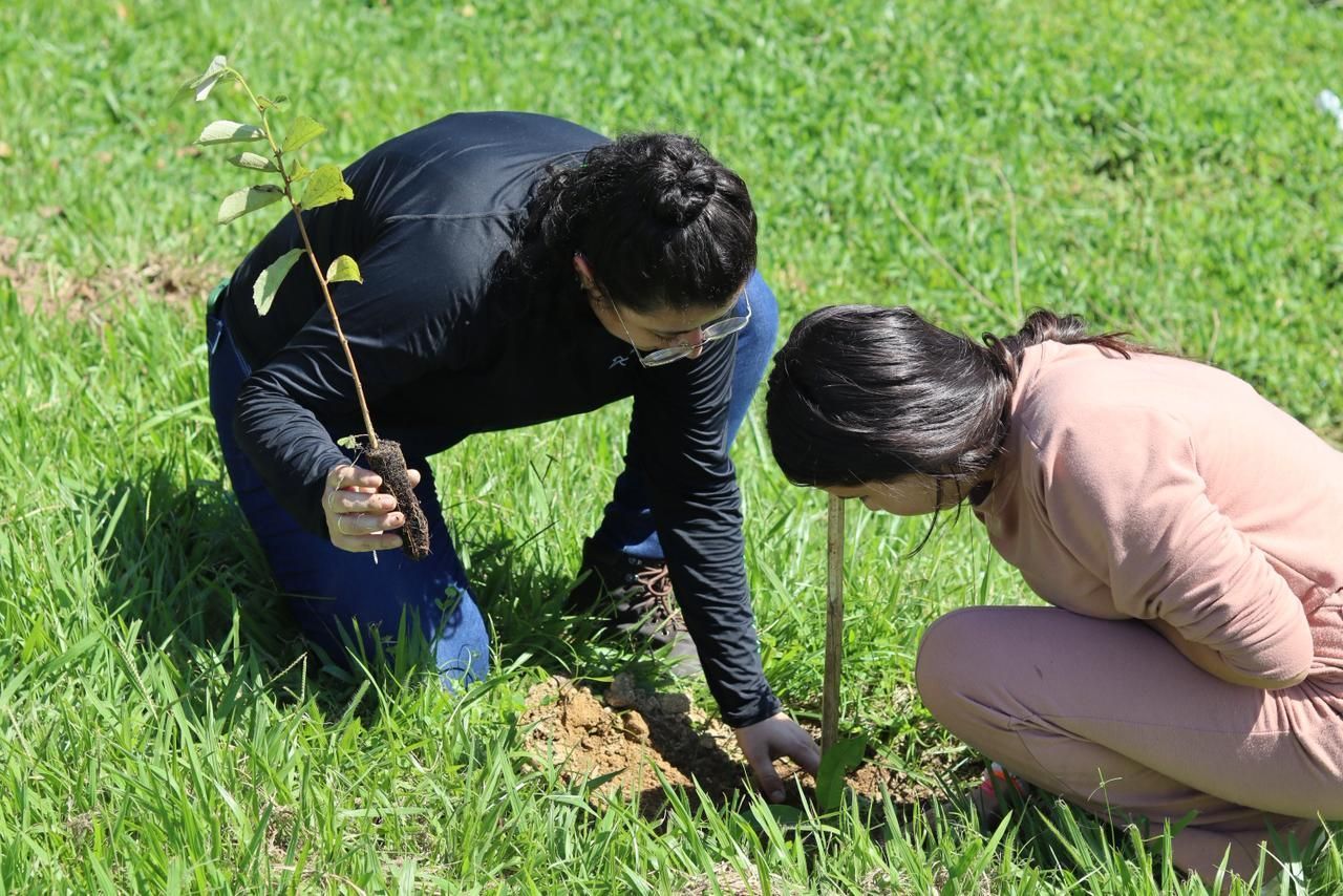 EPR Sul de Minas planta 10 mil mudas para recuperar nascentes