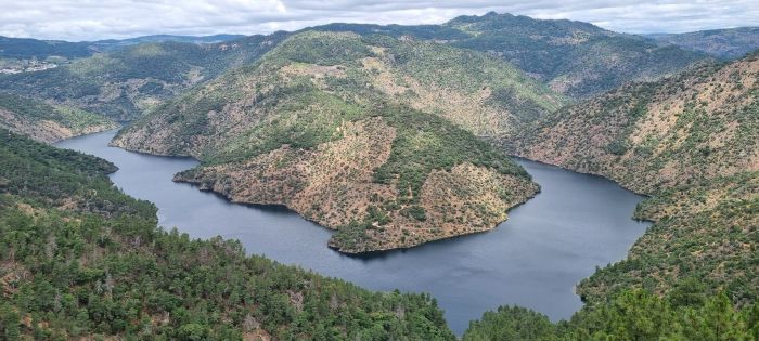 Propriedade de Leonardo Jardim fica às margens do Rio Tua, na região do Douro Vinhateiro