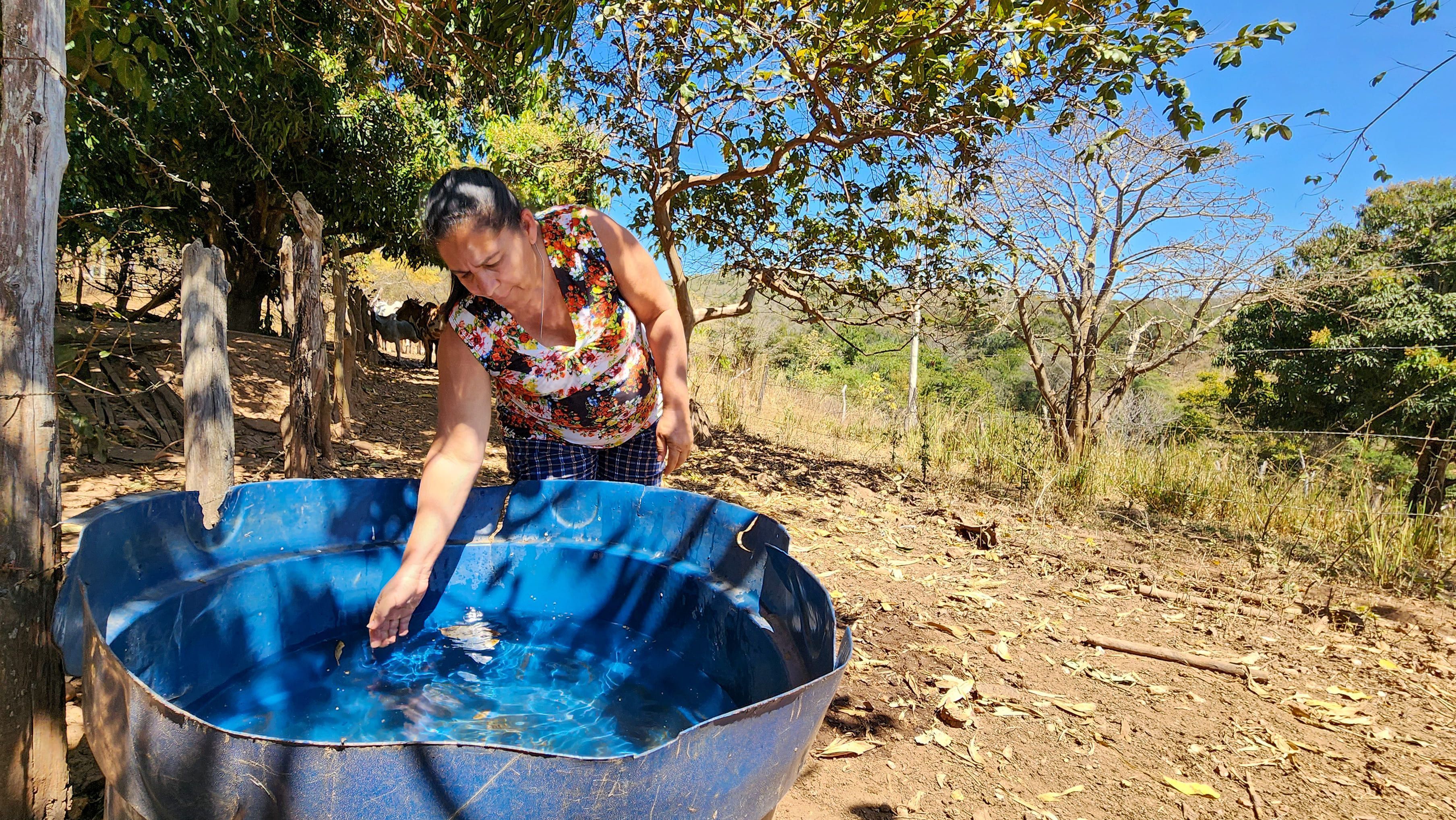 Estudo da Emater-MG aponta que 170 mil famílias de agricultores foram afetadas pela seca esse ano