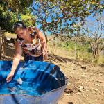 Estudo da Emater-MG aponta que 170 mil famílias de agricultores foram afetadas pela seca esse ano