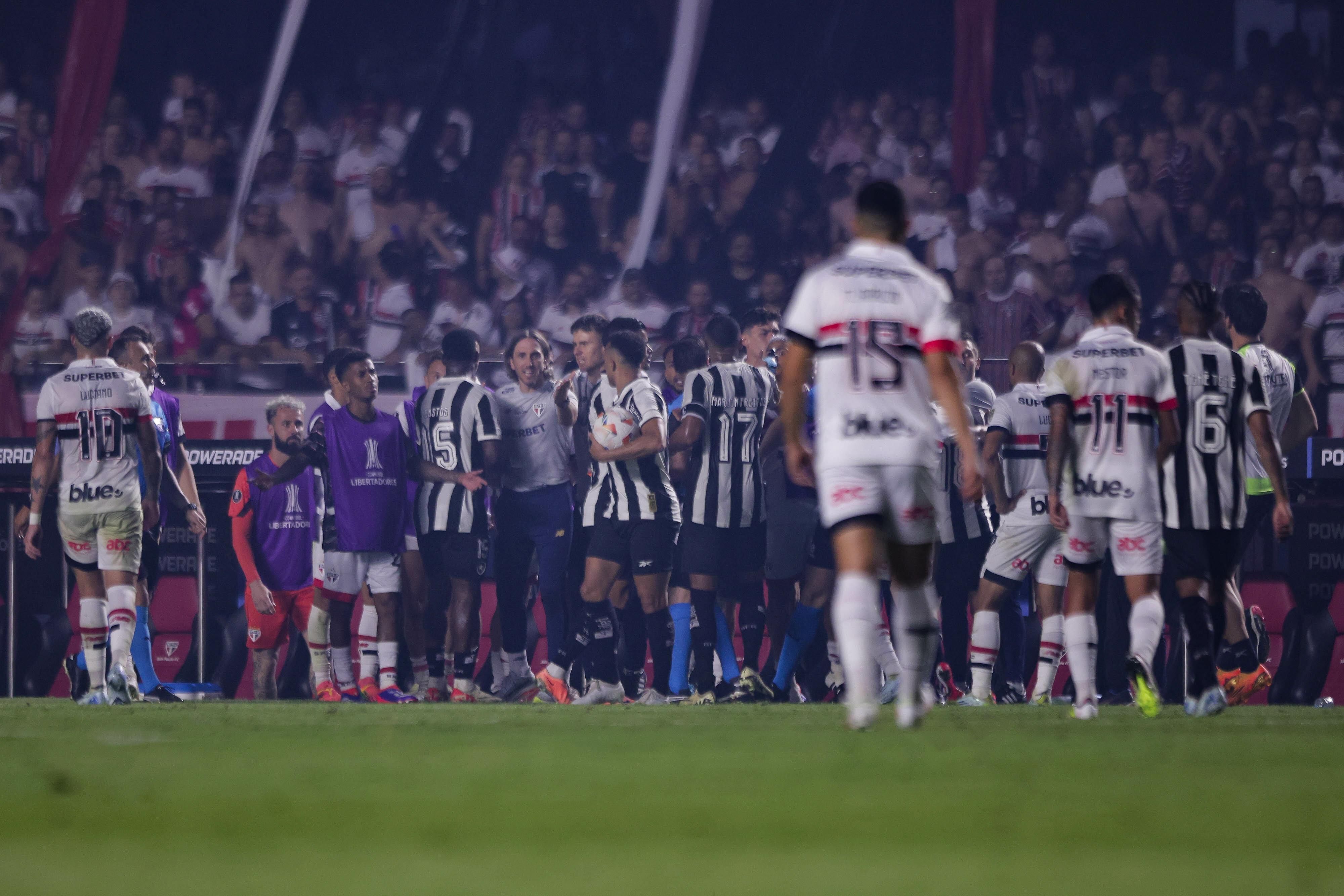 Jogador do Botafogo deu soco em auxiliar do São Paulo, relata árbitro