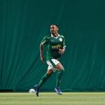 Palmeiras assegura vaga na Libertadores Sub-20 de 2025; veja quando e onde será