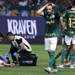 Palmeiras sente abalo e cai na 'pilha' do Botafogo no Brasileiro