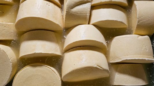 Parmesão mineiro? Conheça a história do Queijo Artesanal do Vale do Suaçuí